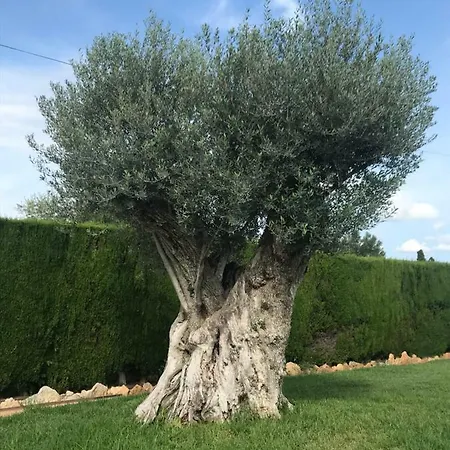 Lo Prat De La Maria Villa *